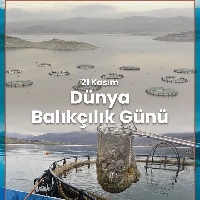 21 Kasım Dünya Balıkçılık Günü'nü Kutlayan Balıkçılar