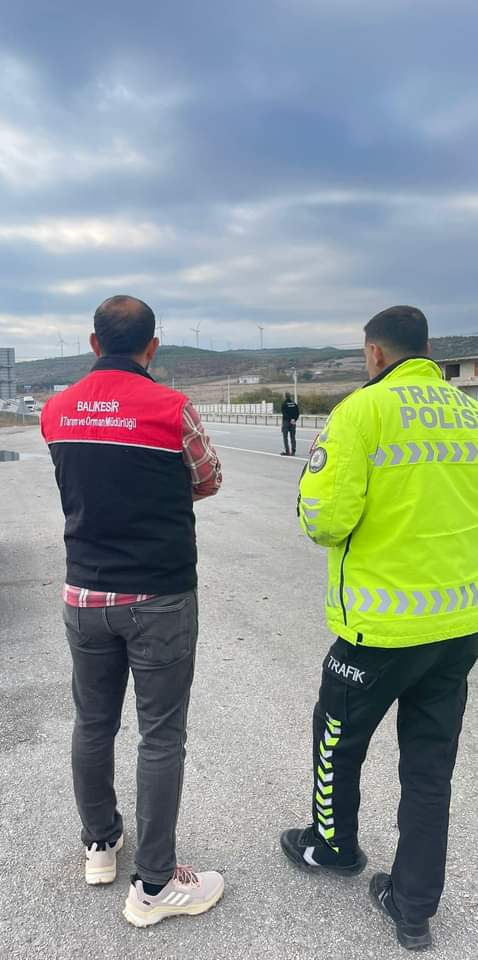 Balıkesir İl Tarım ve Orman Müdürlüğü'nden Hayvan Hareketleriyle İlgili Denetim