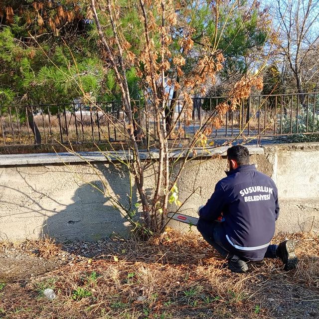 Susurluk'ta Parklarda Kapsamlı Düzenleme Çalışmaları