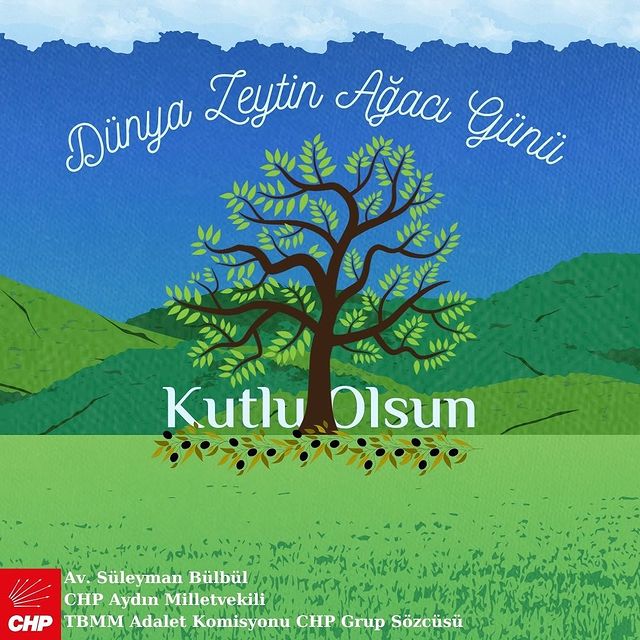 Zeytin Ağaçları Barış, Bereket ve Umut Simgesi