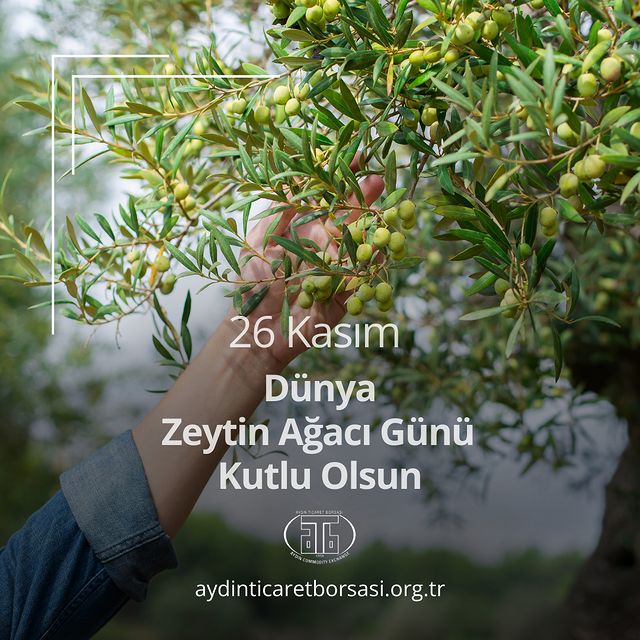 Dünya Zeytin Ağacı Günü'nün Kutlu Olsun!