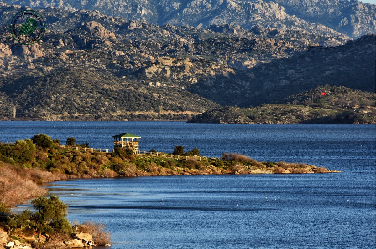 Bafa Gölü ve Su Kuşları