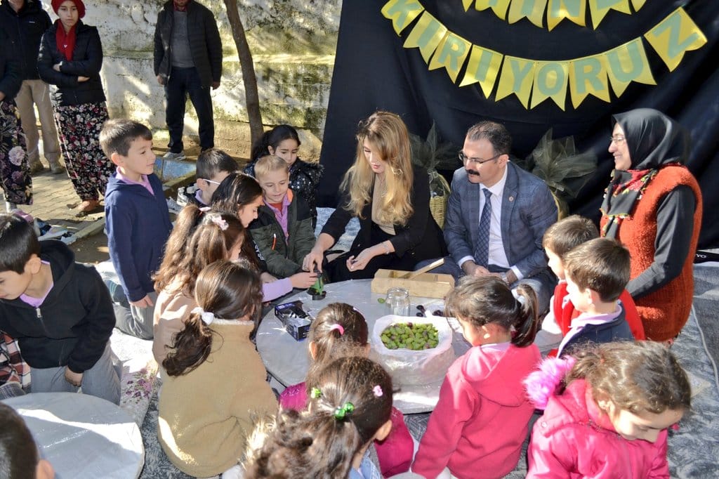 Kaymakamımızdan Zeytin Kırma ve Kurma Etkinliği İncelemesi