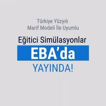 Eğitimde Yenilikçi Yaklaşımlar: Eğitici Simülasyonlar