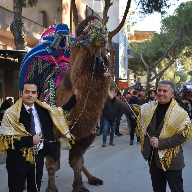 Buharkent Belediyesi Deve Güreşi Festivali Başlıyor