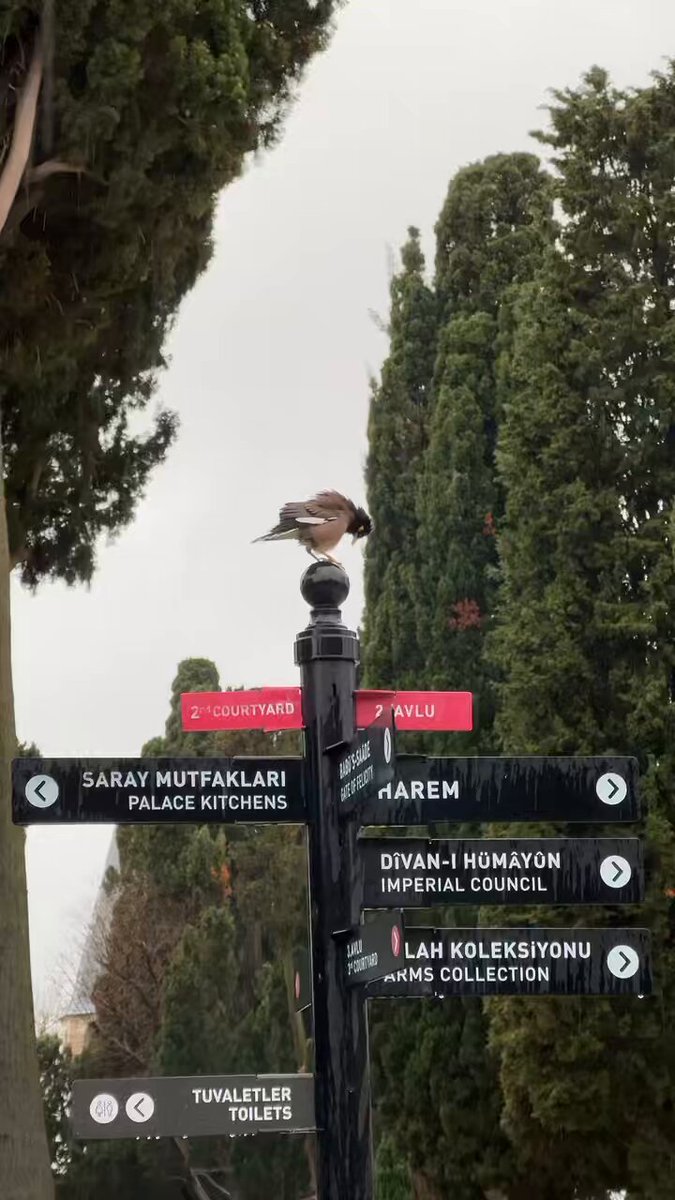 Topkapı Sarayı: Tarihin İzinde Doğanın Güzelliği