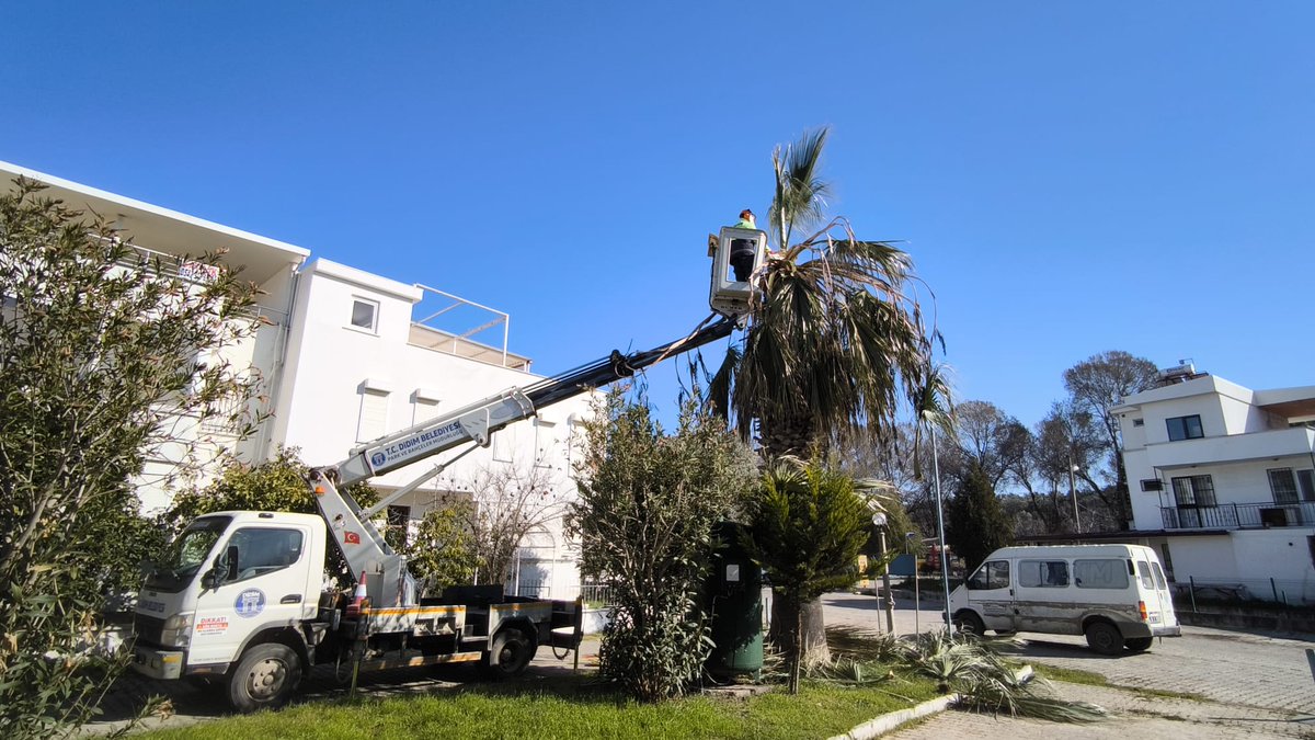 Didim'de Ağaç Budama Çalışmaları Sürüyor