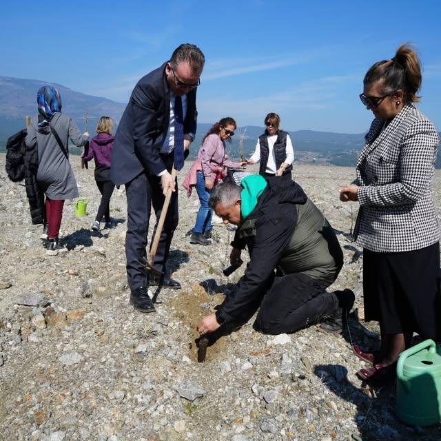 Balıkesir Orman Bölge Müdürlüğü, 2025 Aile Yılı ve Dünya Kadınlar Günü'ne Saygı Duruşu Olarak Fidan Dikimi Gerçekleştirdi