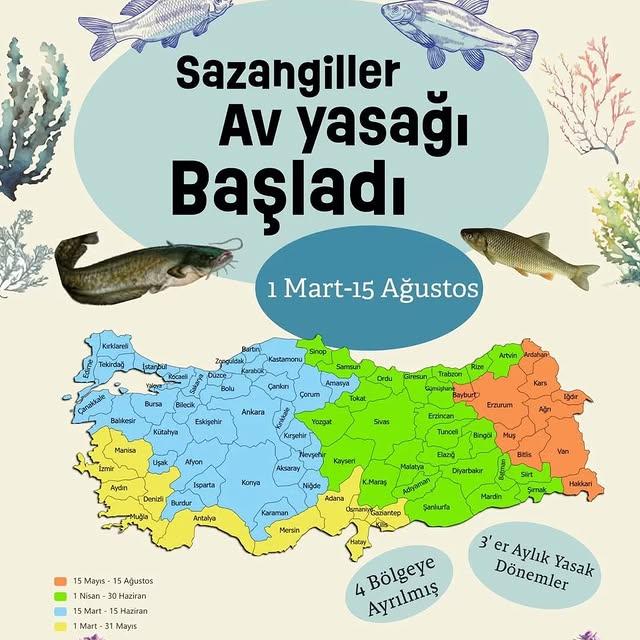 Aydın'da İç Sularda Sazangiller Av Yasağı Başladı