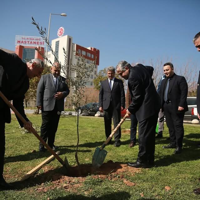 ADÜ, Yangın Sonrası Alanları Zeytin Ağaçlarıyla Yeşilletecek