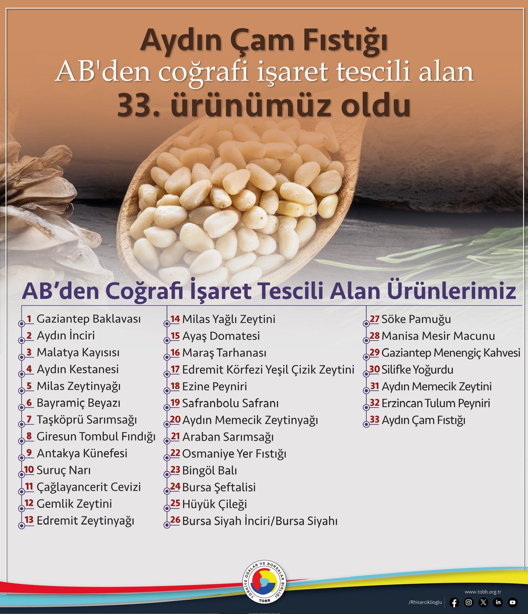 Aydın Çam Fıstığı Avrupa Birliği'nden Coğrafi İşaret Tescili Aldı