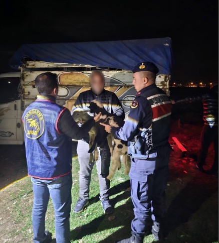 Sandıklı’da Küçükbaş Hayvan Hırsızlığı Aydınlatıldı: 4 Şüpheli Tutuklandı