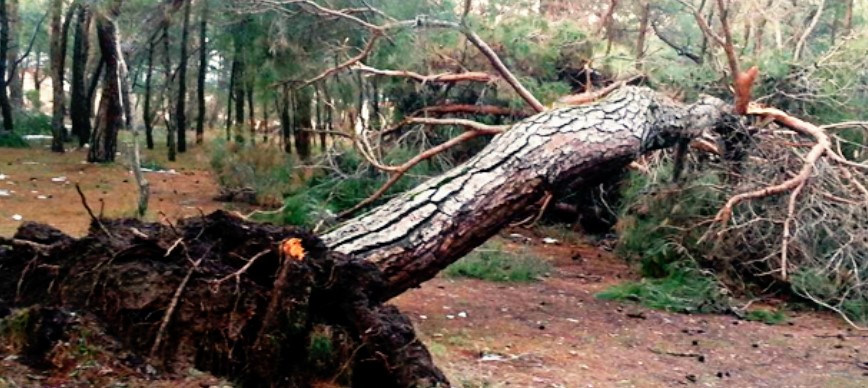 Bölgemizde Kuvvetli Rüzgar ve Fırtınaya Dikkat!