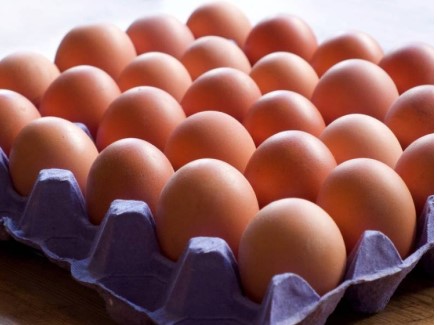 YUMURTA SEKTÖRÜNDE GÜNDEM; SÜRDÜRÜLEBİLİRLİK, ÜRETİM VE GELECEK